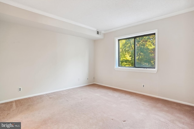 spare room featuring carpet floors and ornamental molding