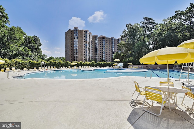 view of pool featuring a patio