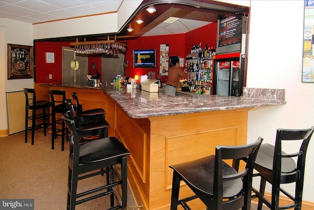 bar featuring carpet flooring