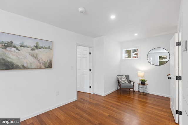 living area featuring dark wood-type flooring