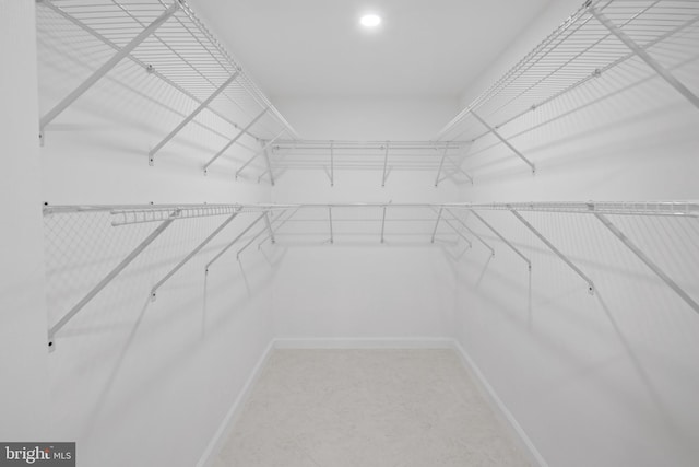 view of spacious closet