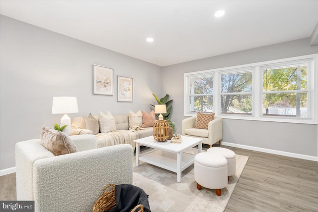 living room with hardwood / wood-style flooring