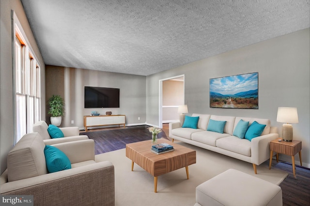 living room featuring wood-type flooring and a textured ceiling