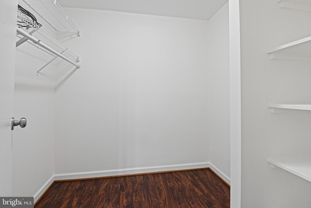 spacious closet with dark hardwood / wood-style flooring