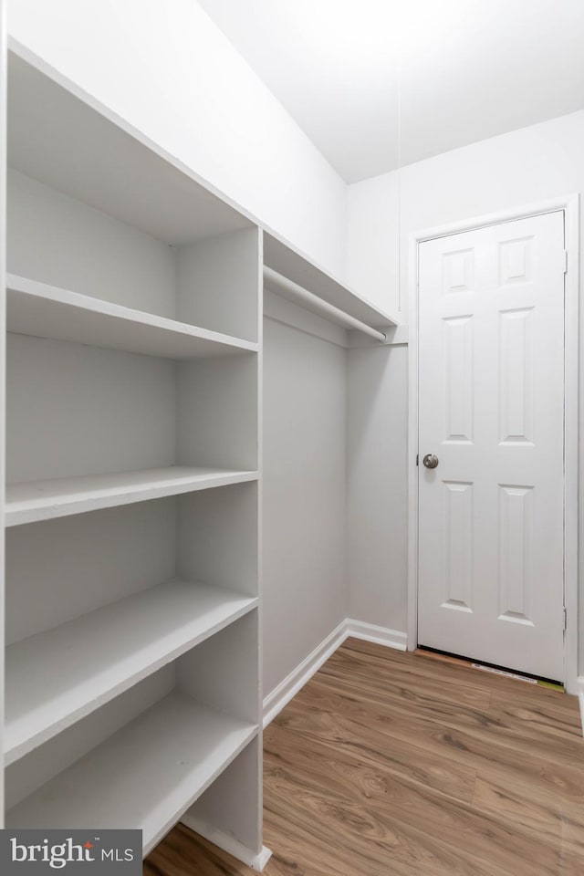 walk in closet with wood-type flooring