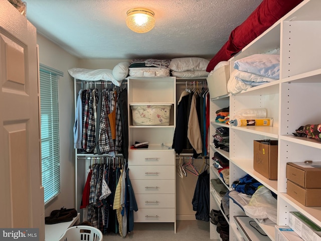 view of spacious closet