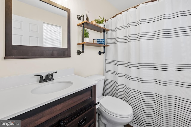 bathroom with toilet and vanity