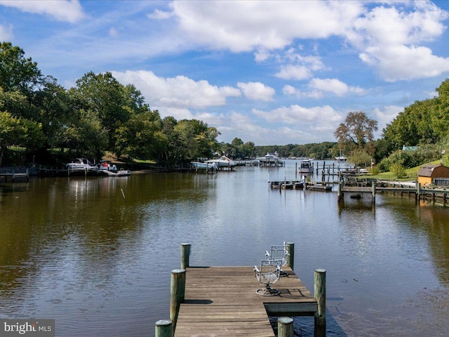 dock area featuring a water view