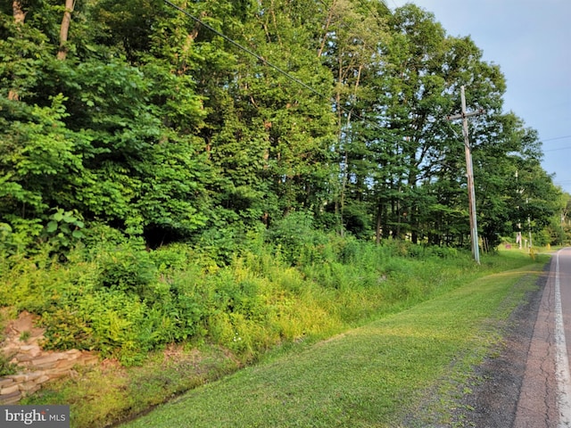 Listing photo 2 for PARCEL64 New Germany Rd, Grantsville MD 21536