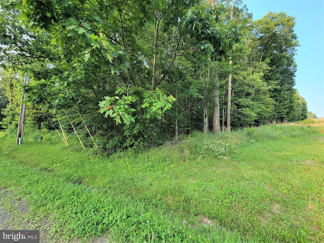 Listing photo 3 for PARCEL64 New Germany Rd, Grantsville MD 21536