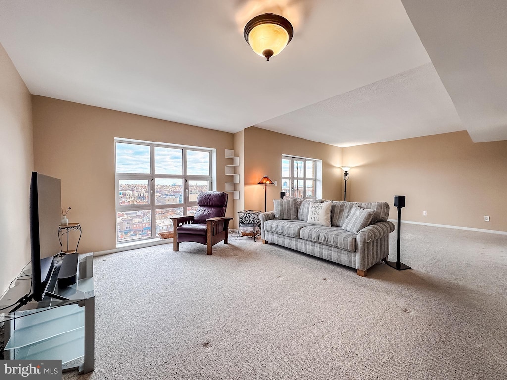 living room with carpet flooring