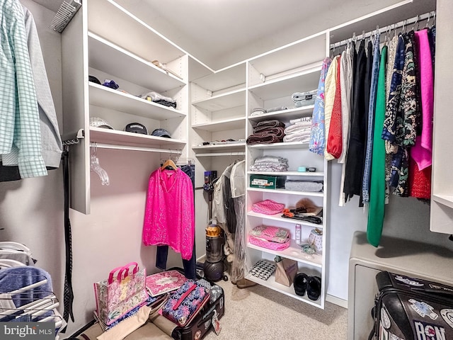 walk in closet featuring carpet