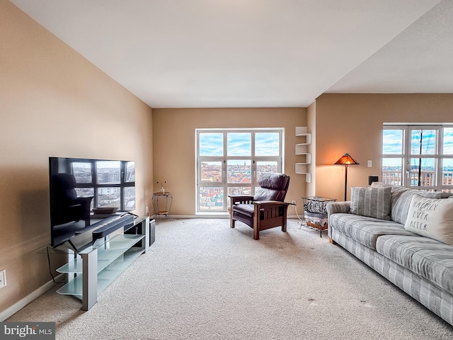 carpeted living room with plenty of natural light