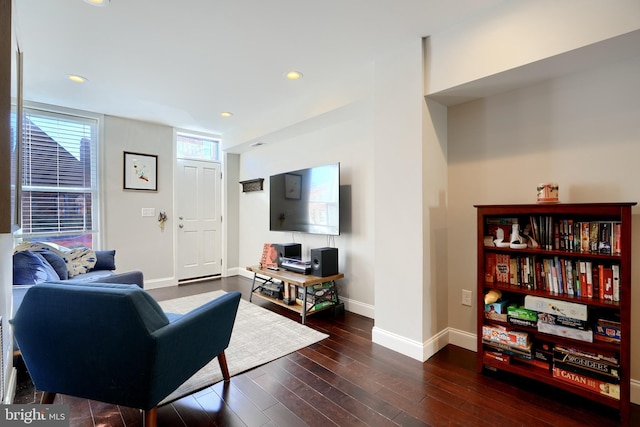 living room with dark wood-type flooring