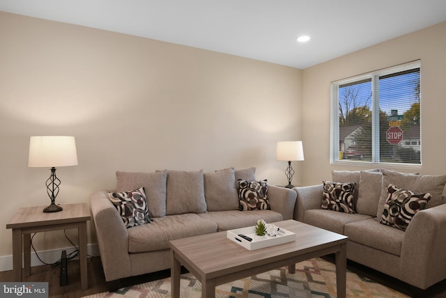 living room featuring hardwood / wood-style floors