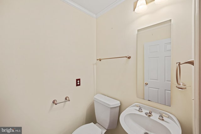 bathroom with toilet, ornamental molding, and sink