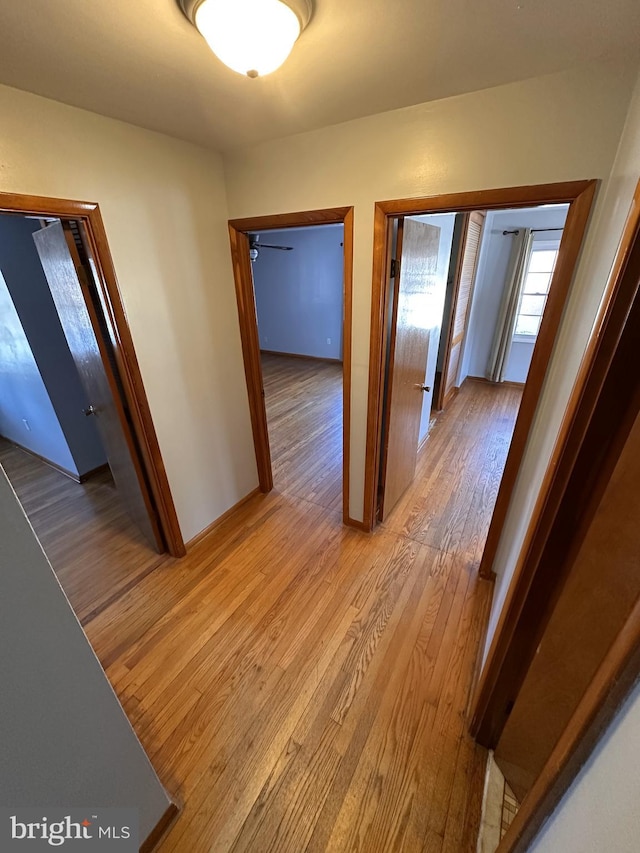 hall featuring light hardwood / wood-style floors