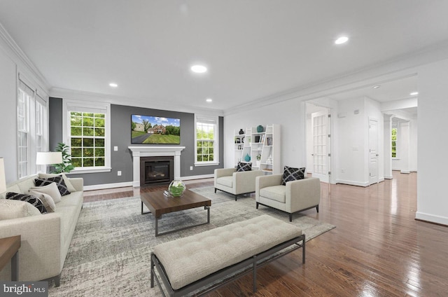 living room featuring wood-type flooring and crown molding