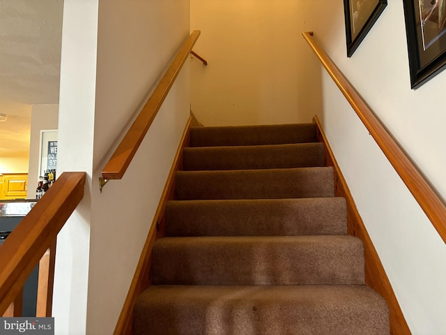 stairway featuring carpet floors