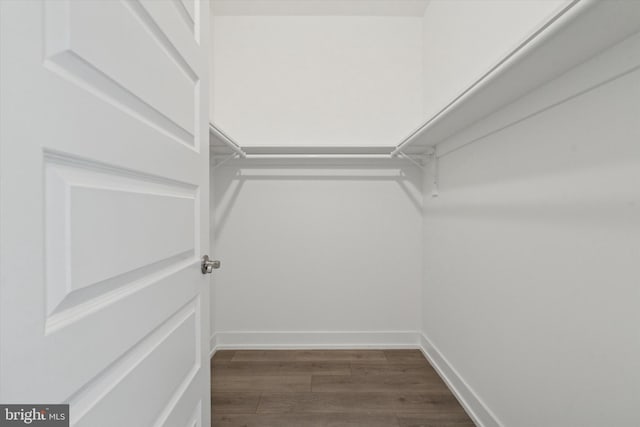 walk in closet with dark hardwood / wood-style floors