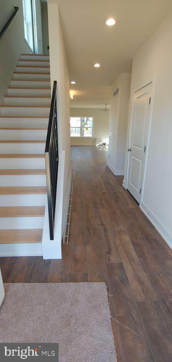 staircase featuring wood-type flooring