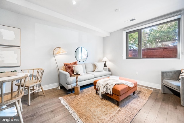 living room with wood-type flooring