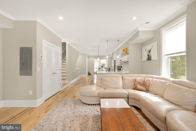 living room featuring plenty of natural light, light hardwood / wood-style floors, ornamental molding, and electric panel