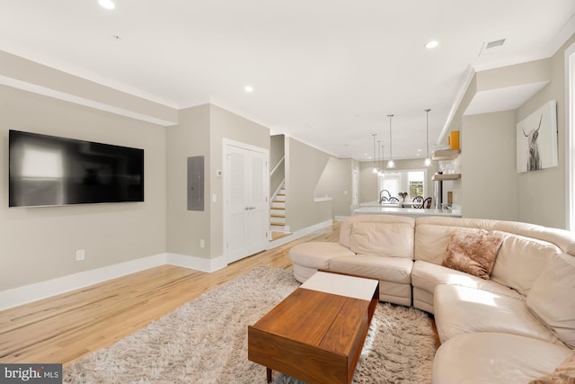 living room with light wood-type flooring, ornamental molding, and electric panel