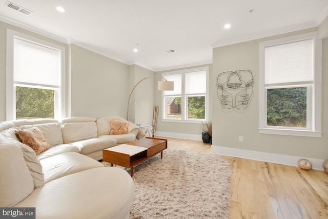 living room featuring ornamental molding and light hardwood / wood-style flooring