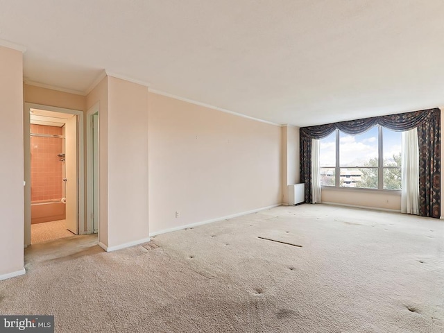 spare room with light carpet and crown molding