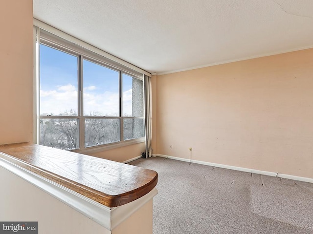 unfurnished room with light colored carpet