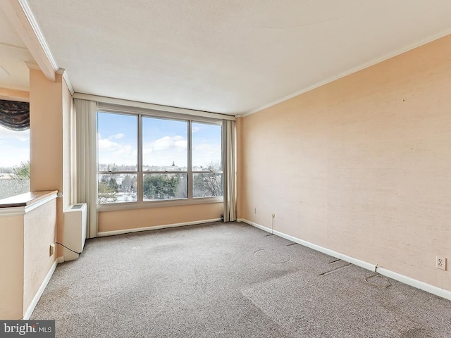 carpeted spare room with ornamental molding