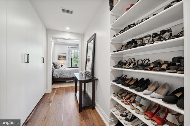 spacious closet featuring wood-type flooring