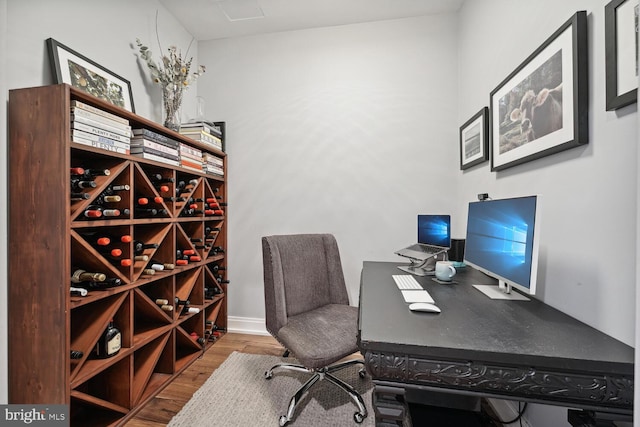 wine room with wood-type flooring