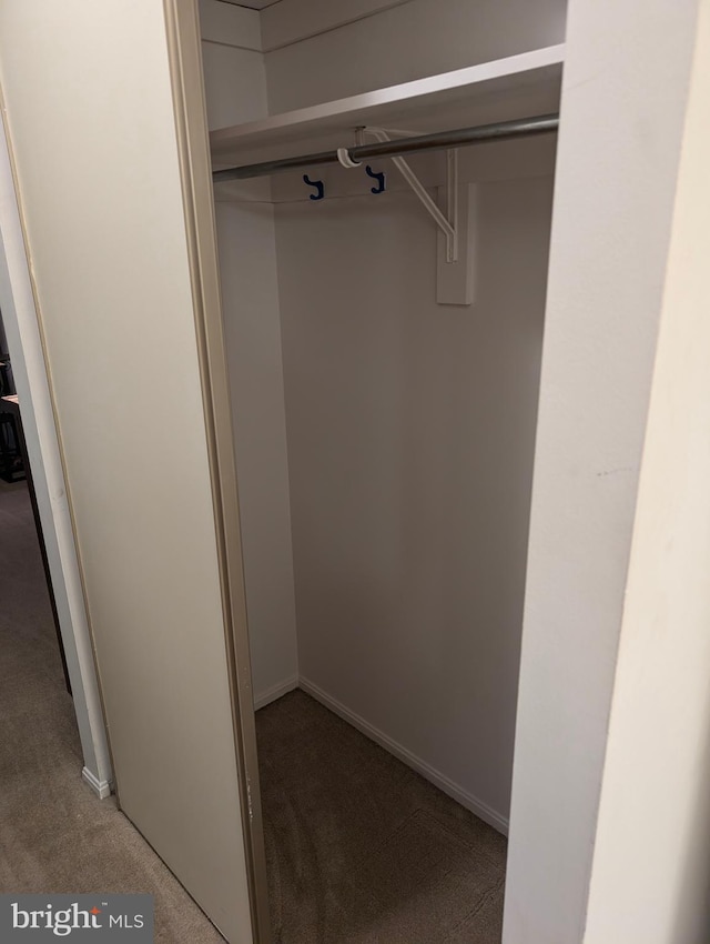 view of closet