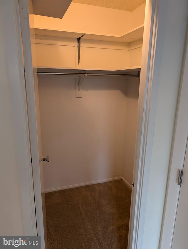 walk in closet featuring dark carpet