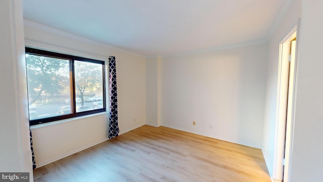 unfurnished room featuring ornamental molding and light hardwood / wood-style flooring