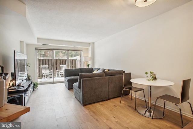 living room featuring light wood-type flooring