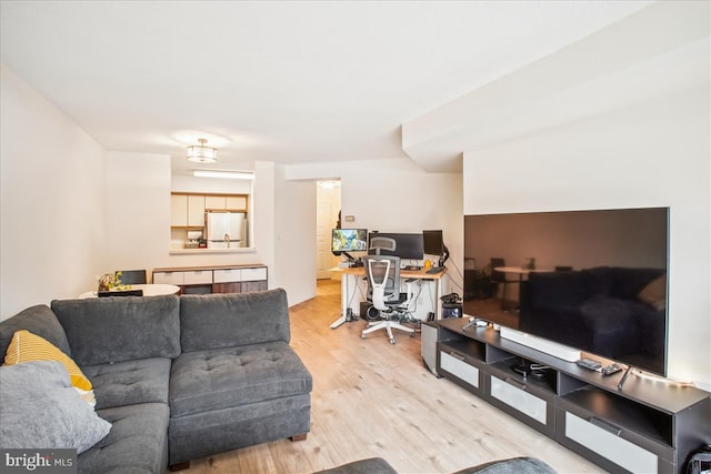 living room featuring hardwood / wood-style floors