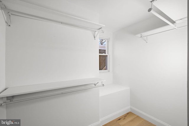 spacious closet with wood-type flooring