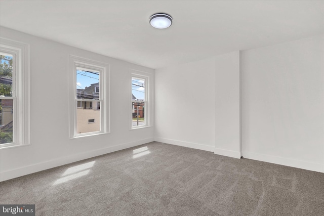 empty room with carpet and a wealth of natural light