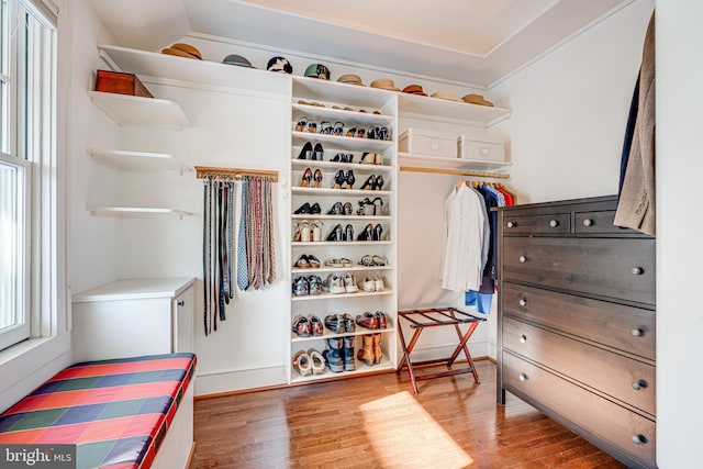 walk in closet with lofted ceiling and wood-type flooring