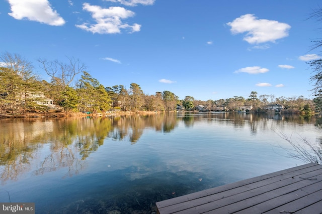 dock area featuring a water view