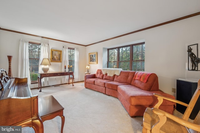 carpeted living room featuring ornamental molding