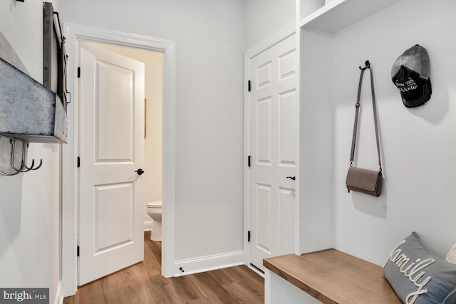 mudroom featuring light hardwood / wood-style floors