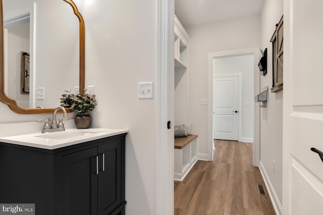 bathroom featuring hardwood / wood-style flooring and vanity