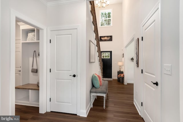 mudroom with crown molding, dark wood-type flooring, and an inviting chandelier