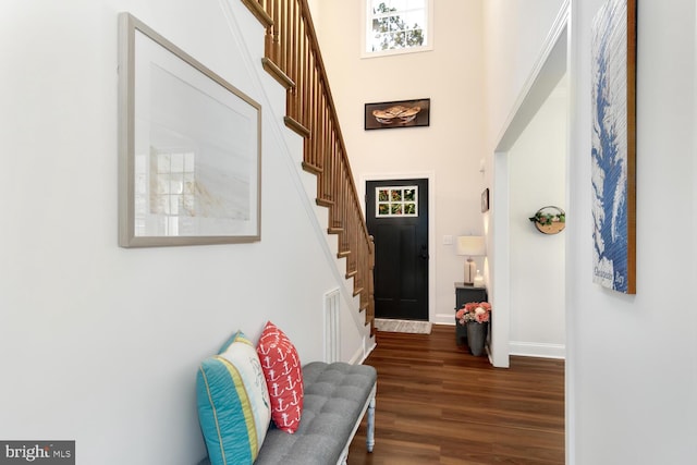 foyer featuring a towering ceiling and dark hardwood / wood-style flooring