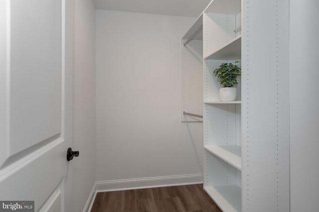 walk in closet with dark wood-type flooring