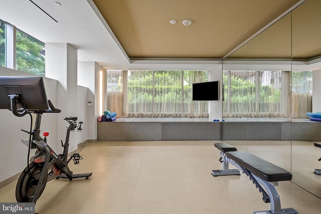 exercise area featuring a tray ceiling and a wealth of natural light